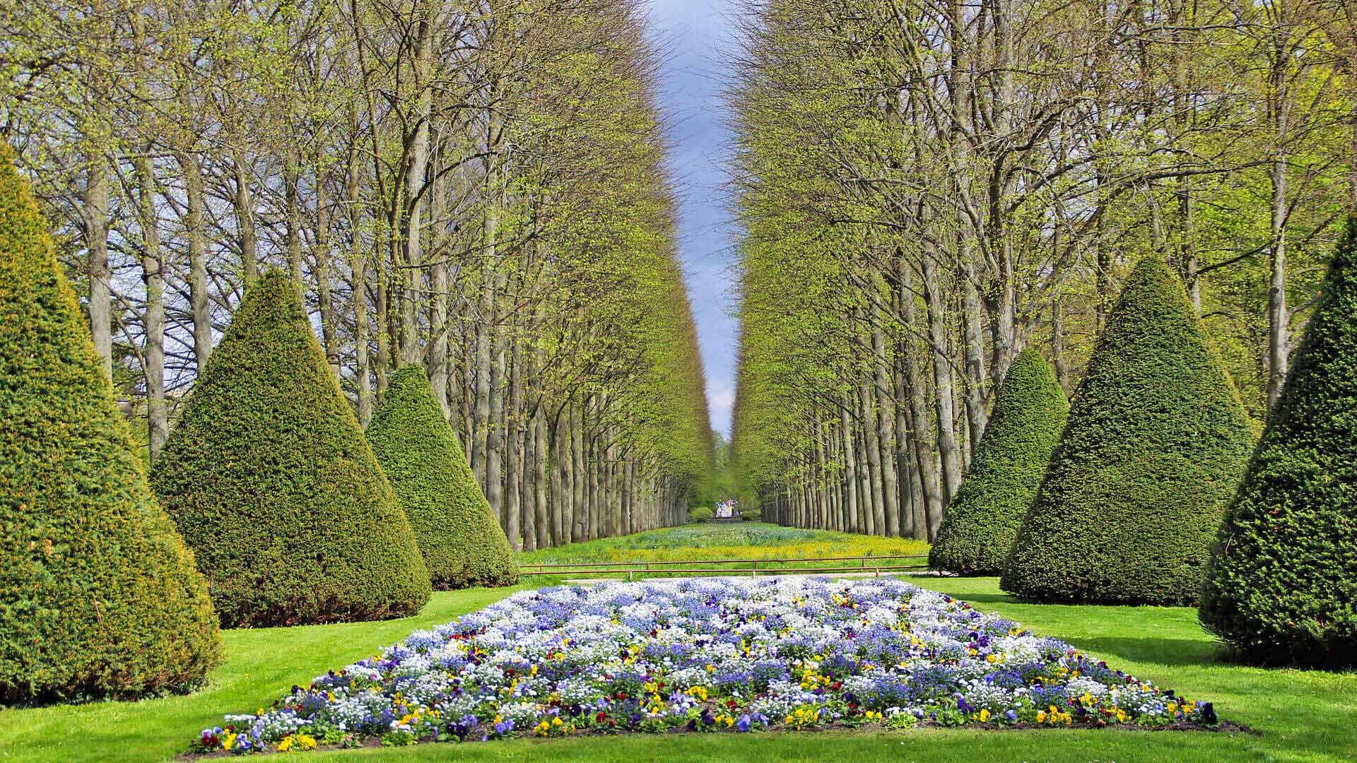 Allee und Blumen im Französischen Garten Celle im Frühling