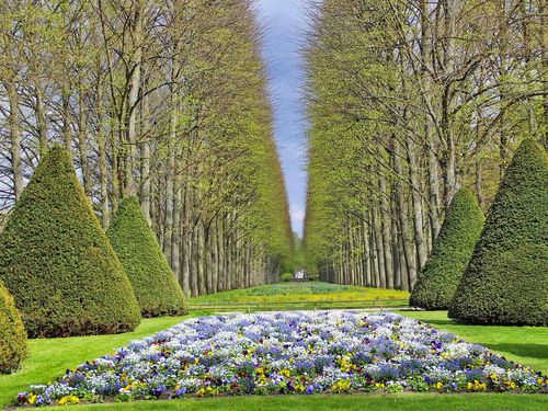 Allee und Blumen im Französischen Garten Celle im Frühling