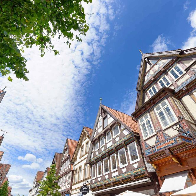 Fachwerkhäuser in der Altstadt von Celle unter blauem Himmel