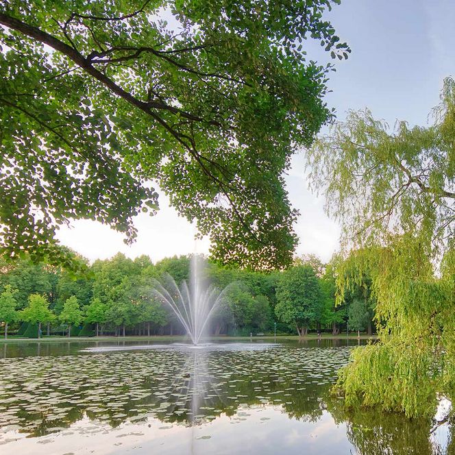 Fontäne im Teich des Französischen Gartens Celle, umgeben von grünen Bäumen.