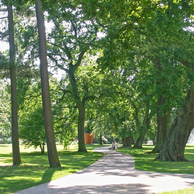 Spazierweg mit alten Bäumen im Französischen Garten Celle
