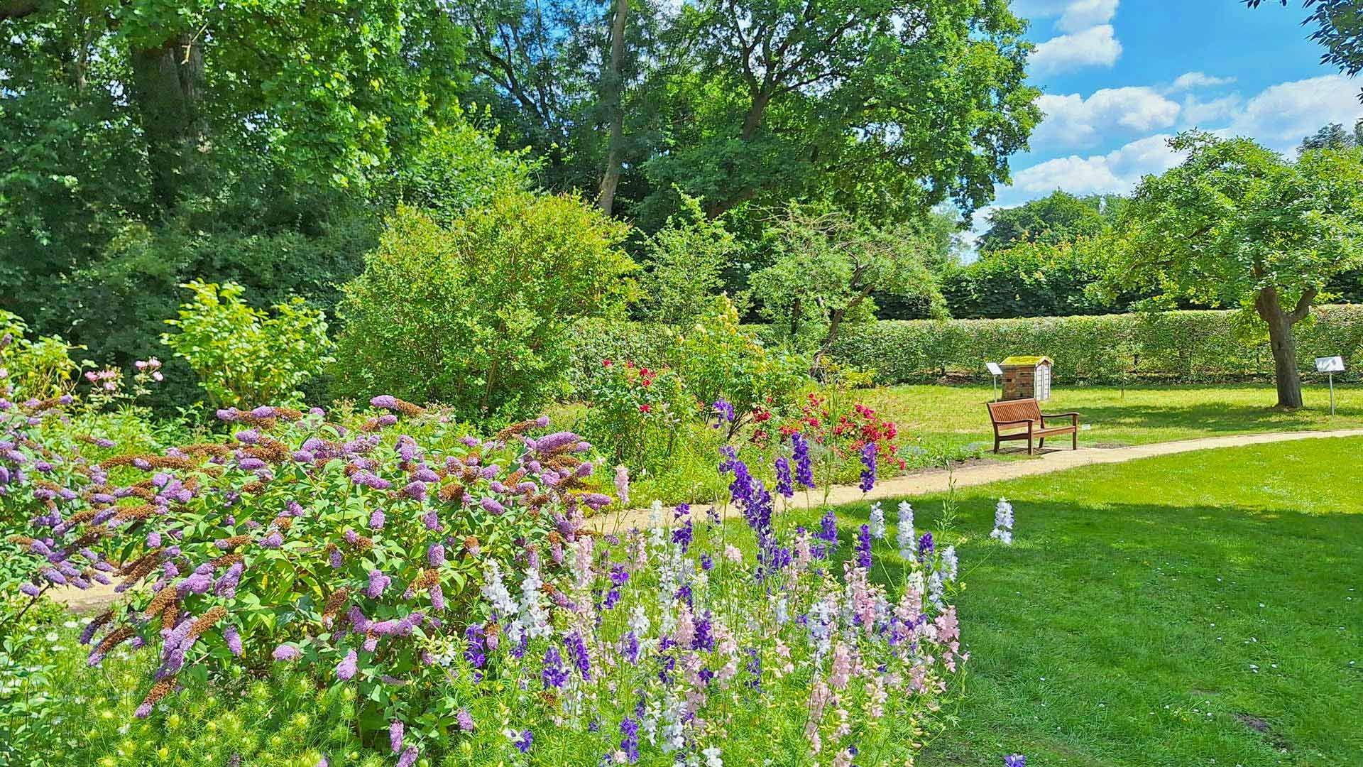Blühender Heilpflanzengarten Celle mit bunten Sommerblumen und Bank