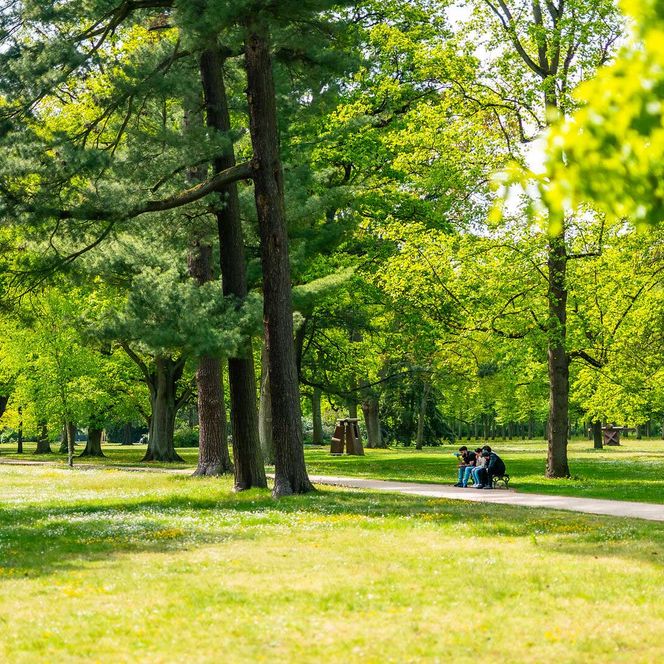 Französischer Garten in Celle mit grünen Wiesen, hohen Bäumen und entspannenden Besuchern auf einer Bank an einem sonnigen Tag.