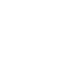 Grafik eines stilisierten Wappens mit Gebäuden und Fluss und Text "TSELLIS"