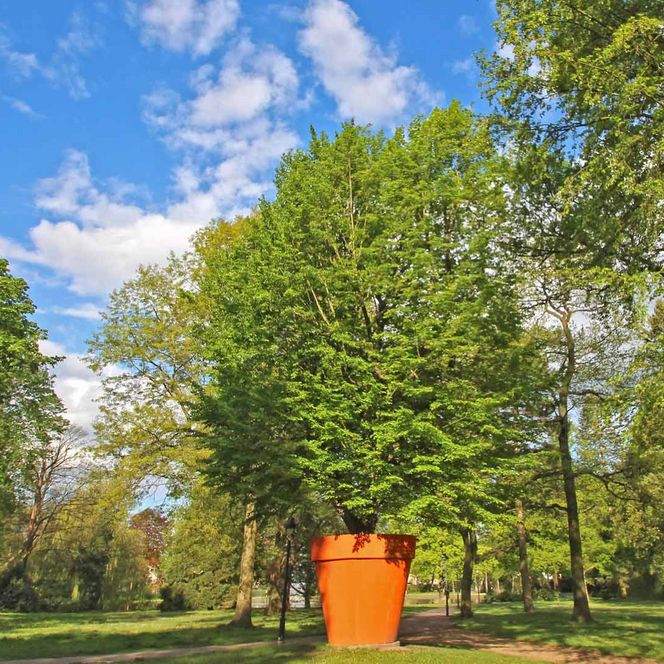  Großer Blumentopf im Französischen Garten Celle unter blauem Himmel