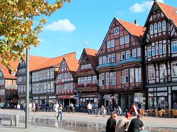 Die Meissendorfer Teiche sind ein bedeutendes Vogelschutzgebiet in der Lüneburger Heide